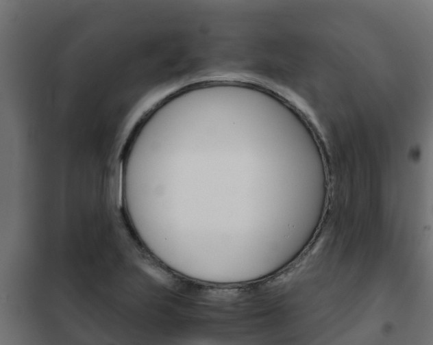 X0000102471223200808081001