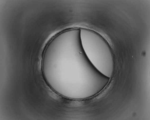 X0000102471224200808081001