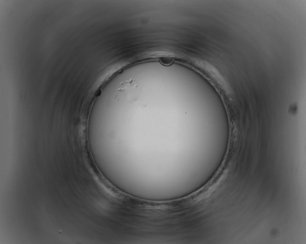 X0000102471225200808081001
