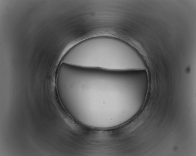 X0000102471226200808081001