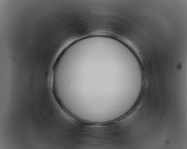 X0000102471227200808081001