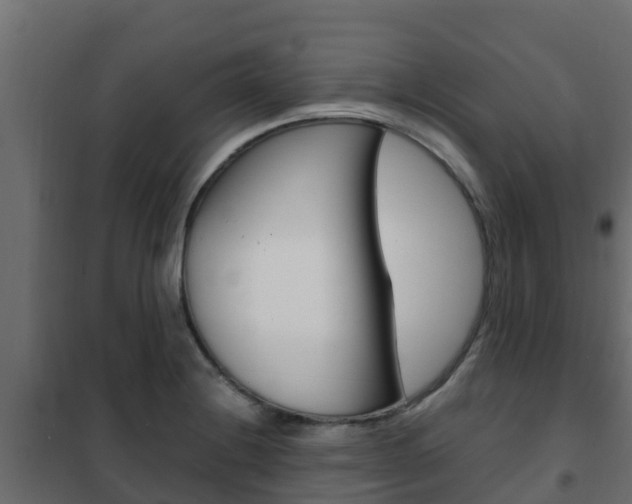 X0000102471228200808081001