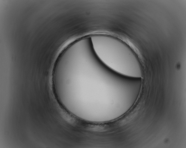 X0000102471229200808081001