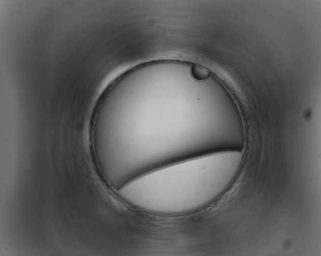 X0000102471230200808081001