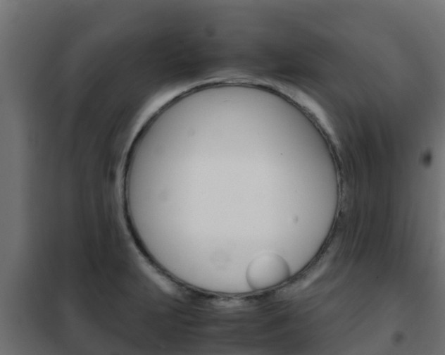 X0000102471231200808081001