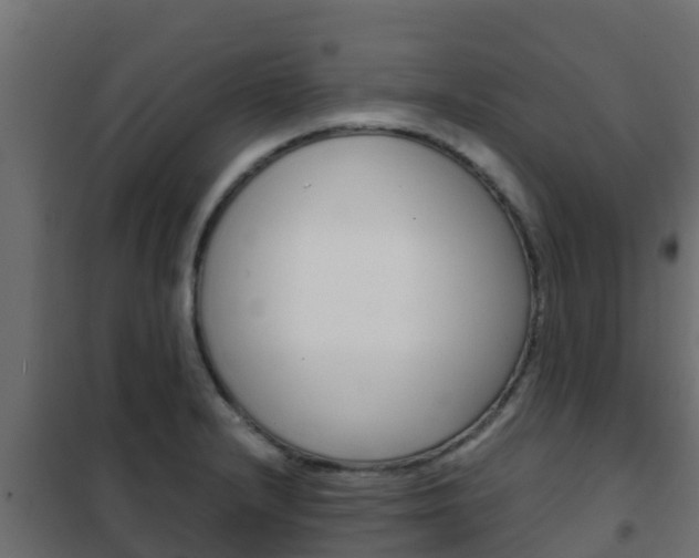 X0000102471232200808081001
