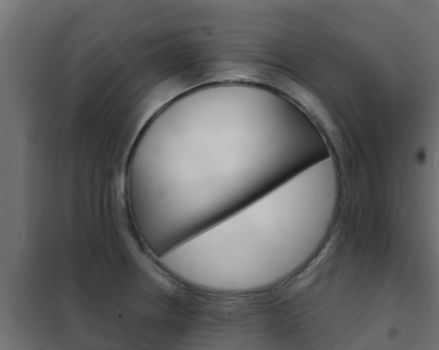 X0000102471234200808081001