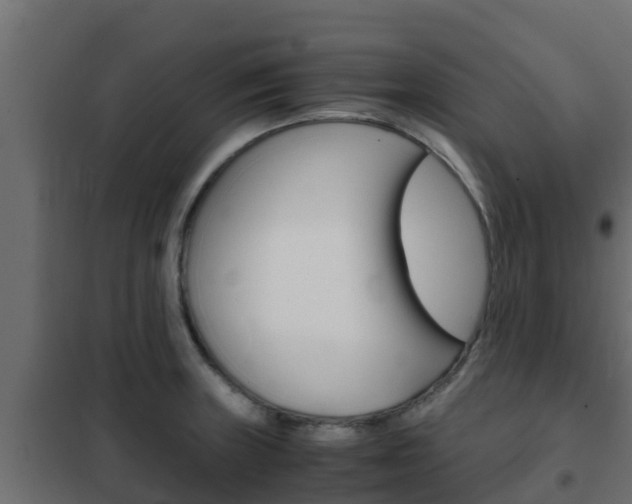X0000102471235200808081001