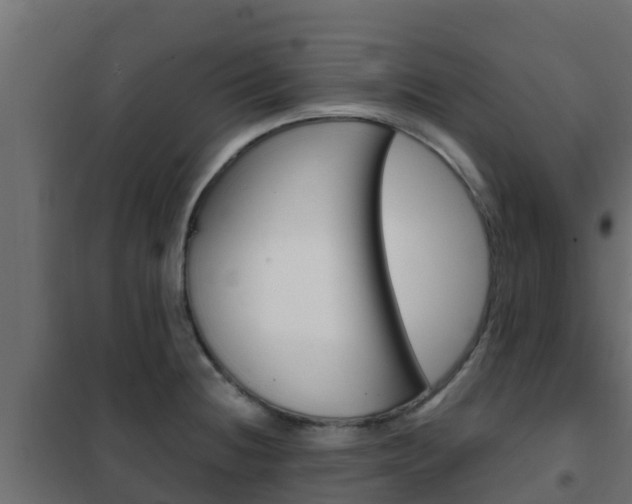 X0000102471236200808081001
