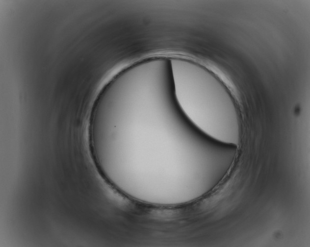 X0000102471237200808081001
