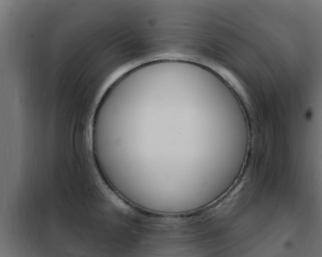 X0000102471238200808081001