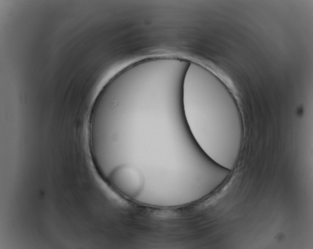 X0000102471239200808081001
