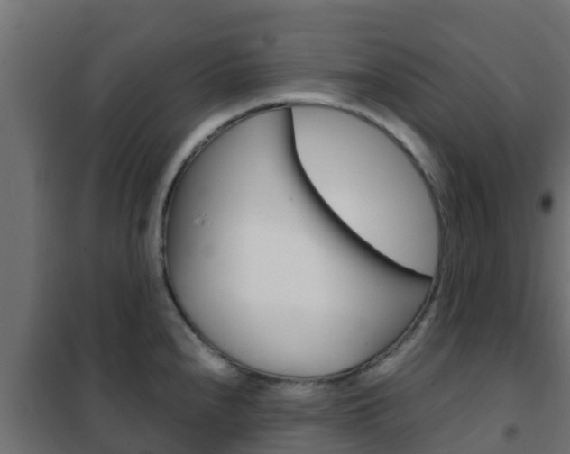 X0000102471240200808081001