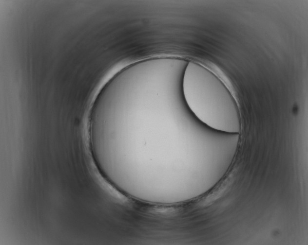 X0000102471243200808081002