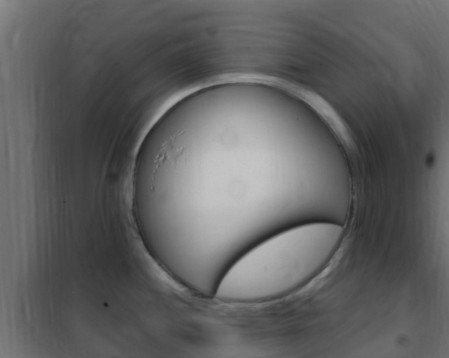 X0000102471244200808081002