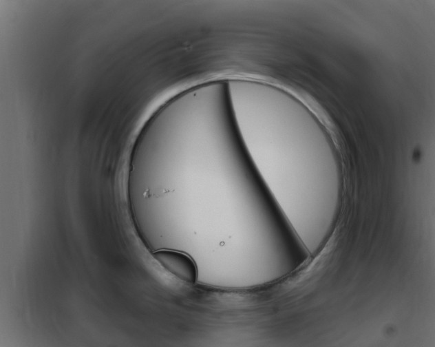 X0000102471246200808081002