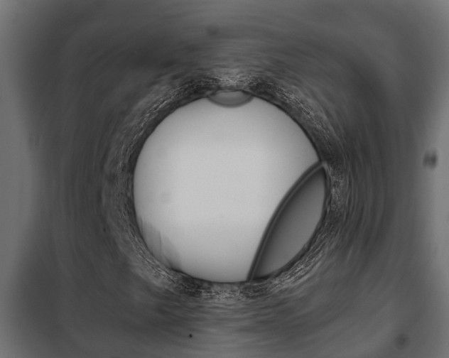 X0000102471249200808081001