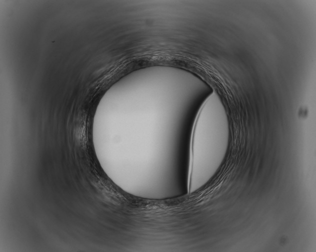 X0000102471250200808081001