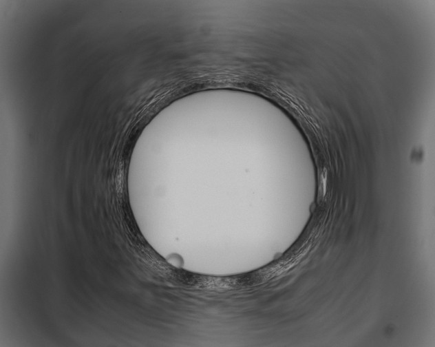 X0000102471251200808081001