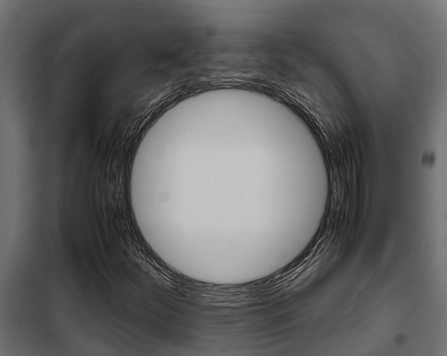 X0000102471252200808081001
