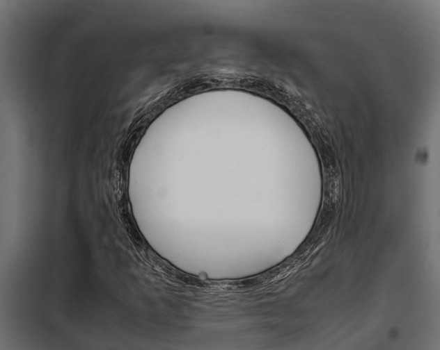 X0000102471253200808081001