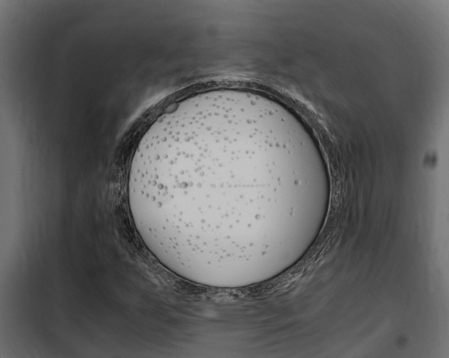 X0000102471255200808081001