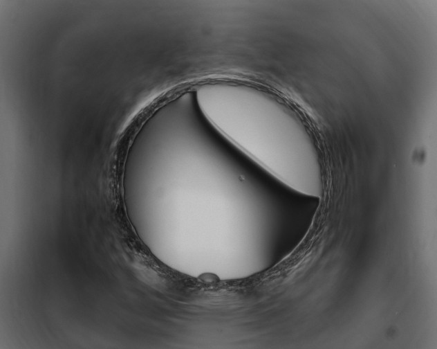 X0000102471256200808081001