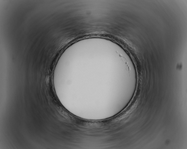 X0000102471257200808081001