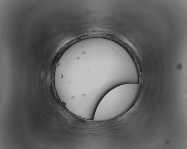 X0000102471259200808081001