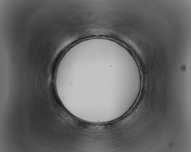 X0000102471261200808081001