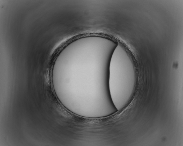 X0000102471262200808081001