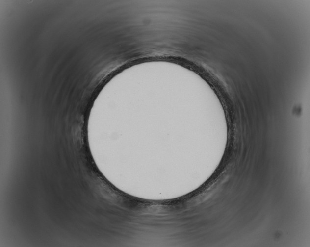 X0000102471265200808081001