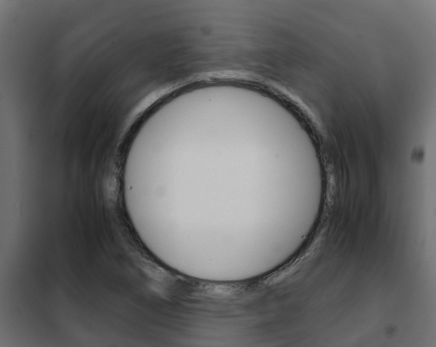 X0000102471266200808081001