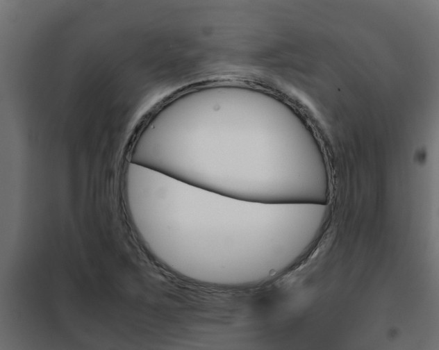 X0000102471267200808081001