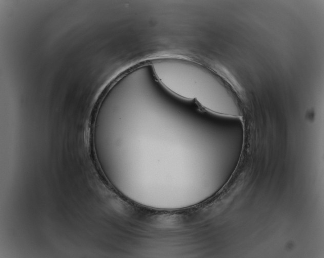 X0000102471268200808081001