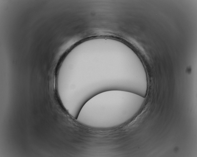 X0000102471269200808081001
