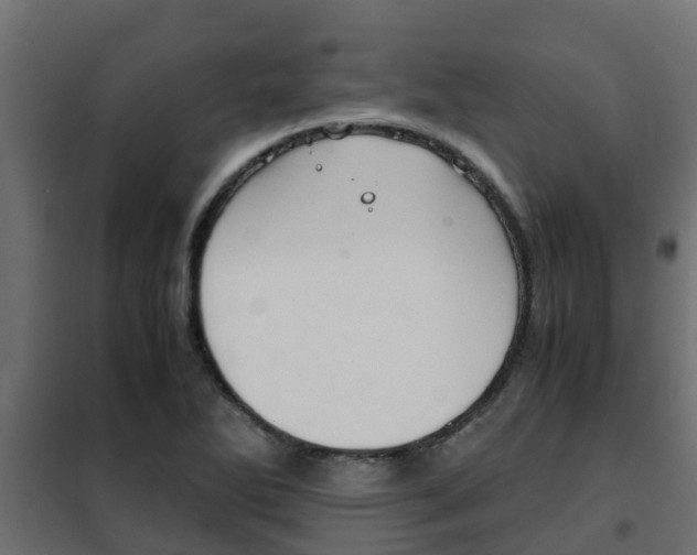 X0000102471270200808081000