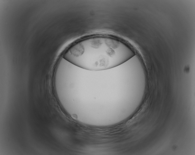 X0000102471271200808081000