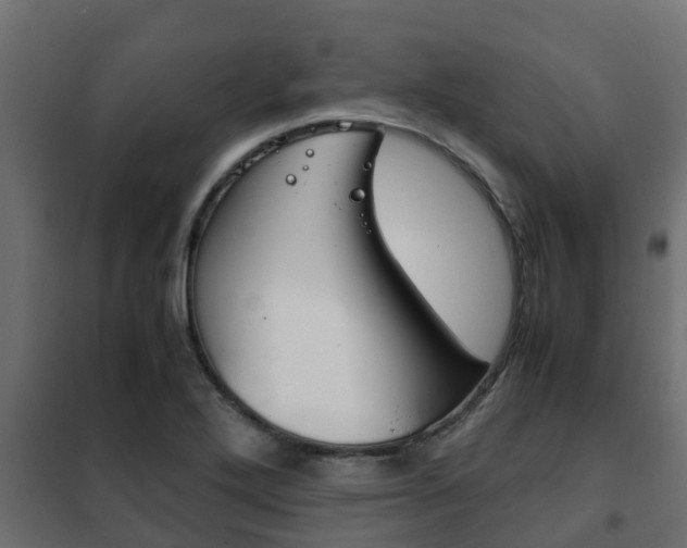 X0000102471272200808081000
