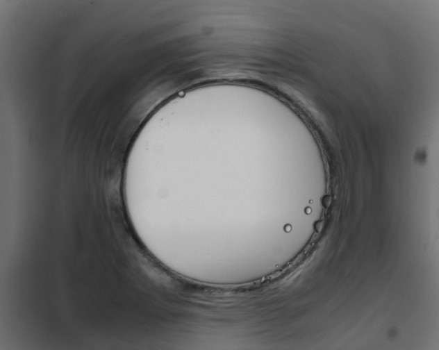 X0000102471273200808081000
