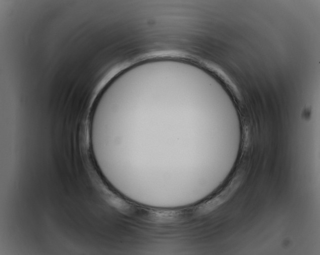 X0000102471274200808081000