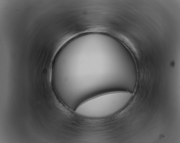 X0000102471276200808081000