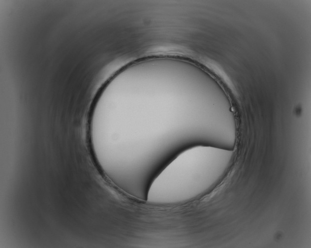 X0000102471277200808081000