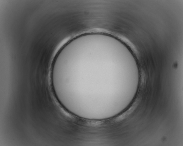 X0000102471278200808081000