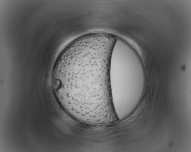 X0000102471279200808081000