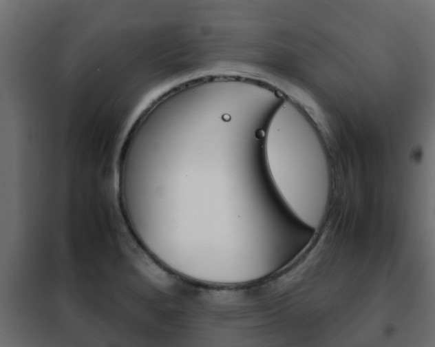 X0000102471280200808081000