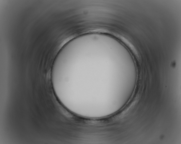 X0000102471281200808081000