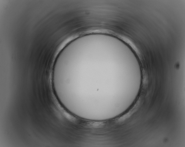 X0000102471282200808081000