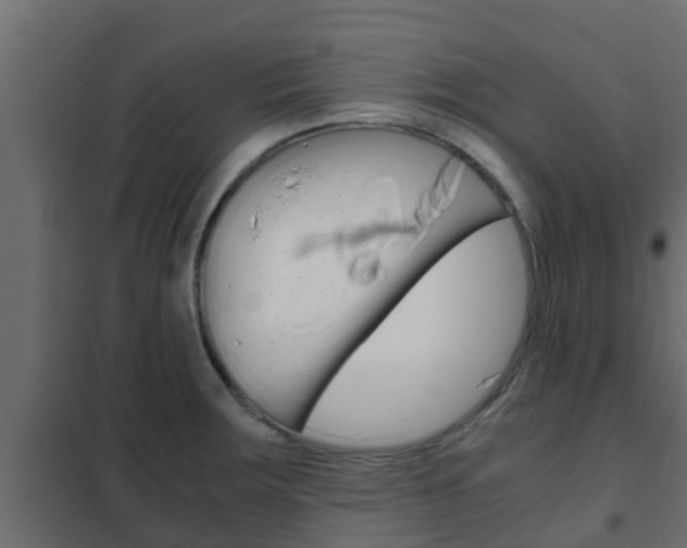 X0000102471283200808081000