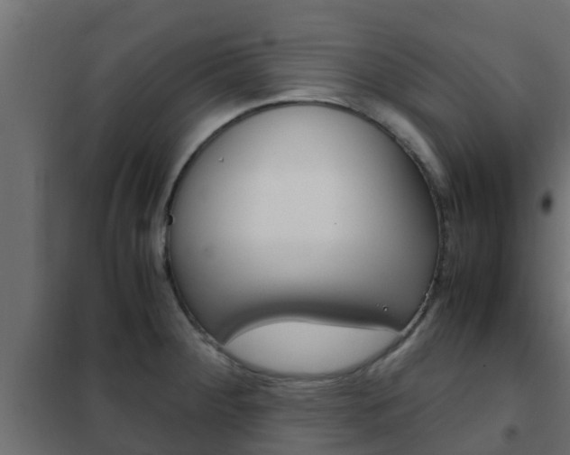 X0000102471284200808081000